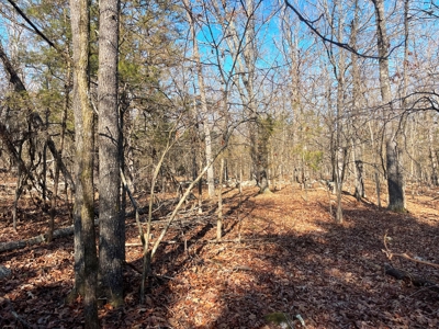 35+ Acres Izard County AR - image 15