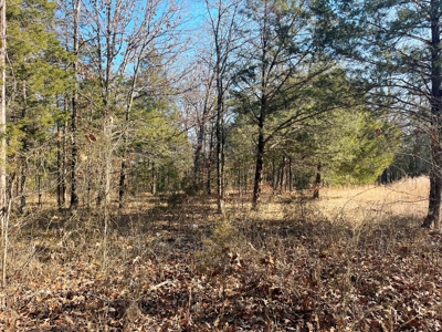 35+ Acres Izard County AR - image 19