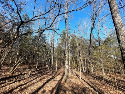 35+ Acres Izard County AR - image 5