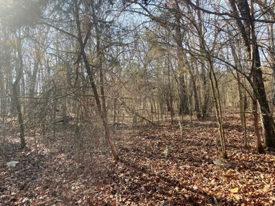 35+ Acres Izard County AR - image 13
