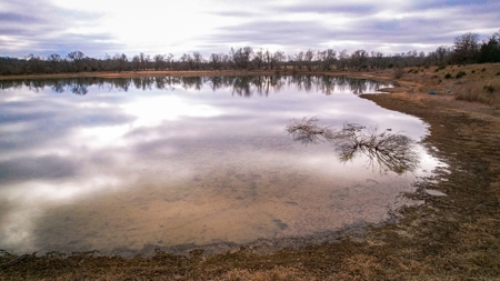 Land for sale Collins MO - image 15