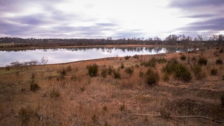 Land for sale Collins MO - image 14