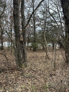 Land for sale Collins MO - image 8