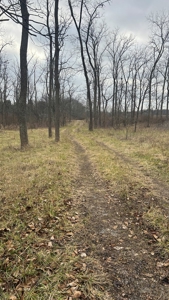 Clinton County Ohio Land for Sale - image 2