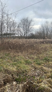 Clinton County Ohio Land for Sale - image 16