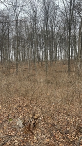 Clinton County Ohio Land for Sale - image 7