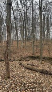Clinton County Ohio Land for Sale - image 34