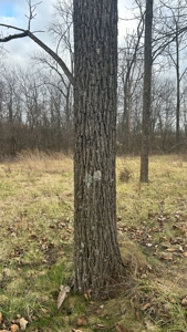 Clinton County Ohio Land for Sale - image 20