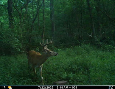 Clinton County Ohio Land for Sale - image 43