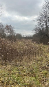 Clinton County Ohio Land for Sale - image 14