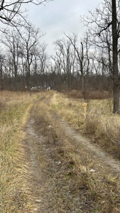 Clinton County Ohio Land for Sale - image 1