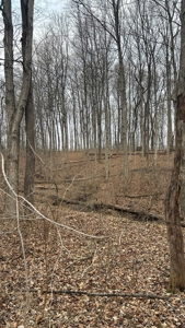 Clinton County Ohio Land for Sale - image 35