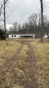 Clinton County Ohio Land for Sale - image 5