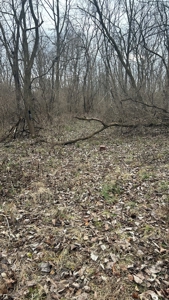 Clinton County Ohio Land for Sale - image 17