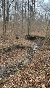 Clinton County Ohio Land for Sale - image 36