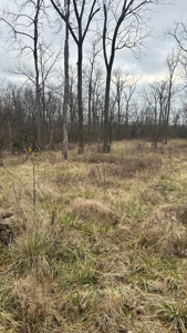Clinton County Ohio Land for Sale - image 37