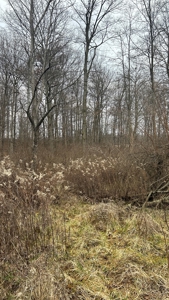 Clinton County Ohio Land for Sale - image 30
