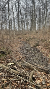 Clinton County Ohio Land for Sale - image 8