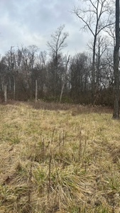Clinton County Ohio Land for Sale - image 25