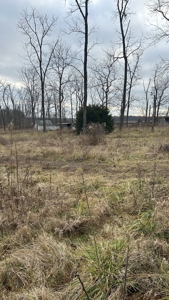 Clinton County Ohio Land for Sale - image 38