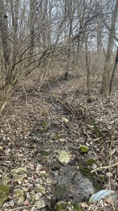 Clinton County Ohio Land for Sale - image 19