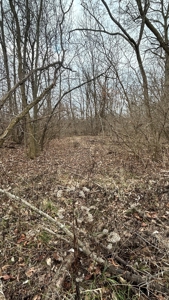 Clinton County Ohio Land for Sale - image 13
