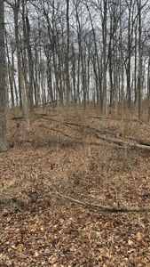 Clinton County Ohio Land for Sale - image 32