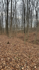 Clinton County Ohio Land for Sale - image 9
