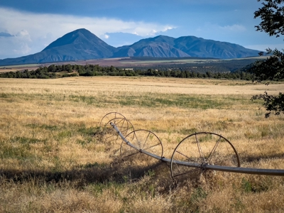 882 Acres Farm near Cortez Colorado For Sale! - image 48