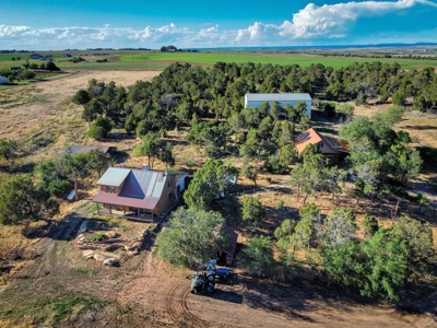 882 Acres Farm near Cortez Colorado For Sale! - image 44