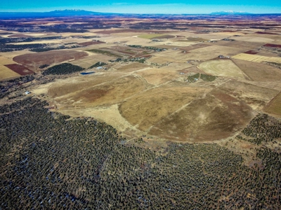 882 Acres Farm near Cortez Colorado For Sale! - image 10