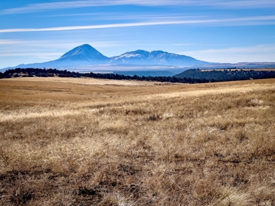 882 Acres Farm near Cortez Colorado For Sale! - image 9