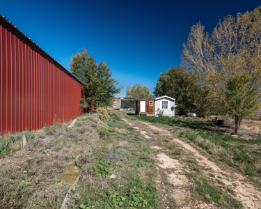 882 Acres Farm near Cortez Colorado For Sale! - image 10