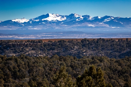 882 Acres Farm near Cortez Colorado For Sale! - image 5