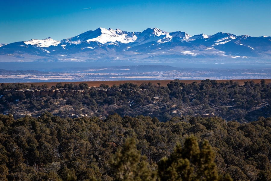 Land bodering BLM near Cortez