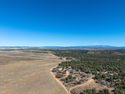 882 Acres Farm near Cortez Colorado For Sale! - image 45