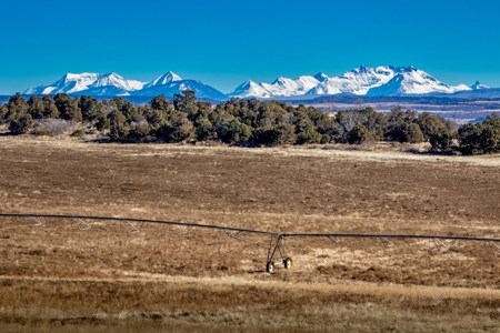 882 Acres Farm near Cortez Colorado For Sale! - image 2