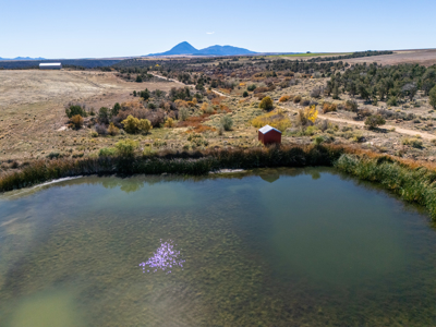882 Acres Farm near Cortez Colorado For Sale! - image 42