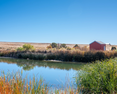 882 Acres Farm near Cortez Colorado For Sale! - image 15