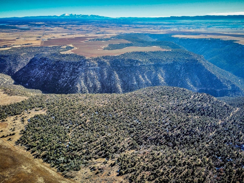 Farm near Cortez Colorado For Sale