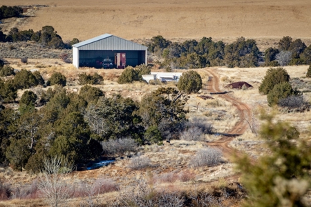 882 Acres Farm near Cortez Colorado For Sale! - image 3