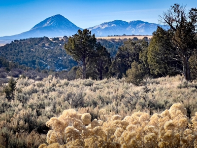 882 Acres Farm near Cortez Colorado For Sale! - image 17