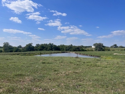 Country Home & 10 Acres For Sale - image 2