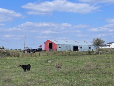 Country Home & 10 Acres For Sale - image 3