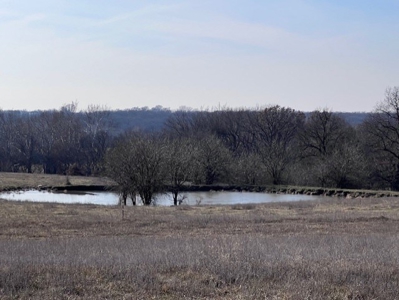 Country Home & 10 Acres For Sale - image 7