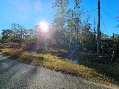 North Florida Land For Sale In Steinhatchee Florida - image 1