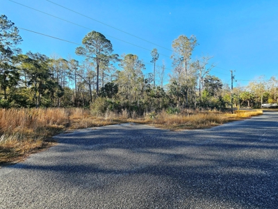 North Florida Land For Sale In Steinhatchee Florida - image 9