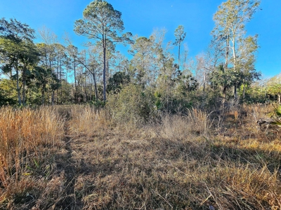North Florida Land For Sale In Steinhatchee Florida - image 10