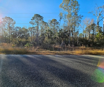 North Florida Land For Sale In Steinhatchee Florida - image 4