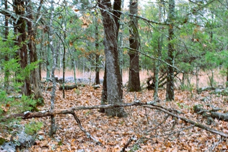 25 Secluded Acres in Protem, Missouri near Bull Shoals Lake - image 18